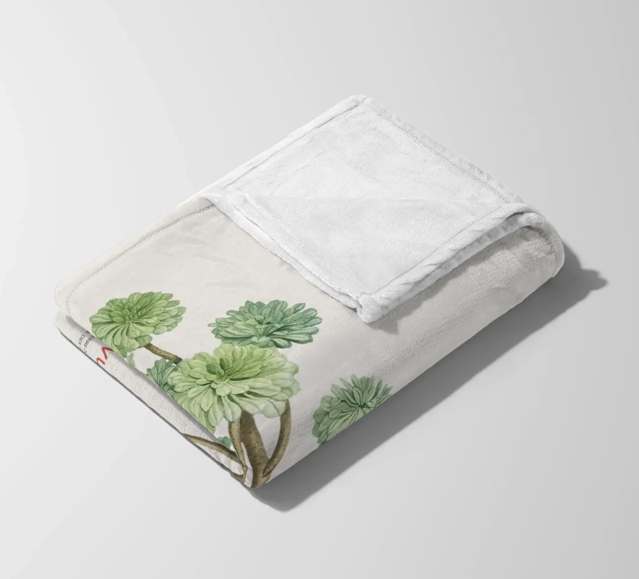 Rosa d'Irlanda o Sempervivum Arboreum coperta in pile da Vintagrafica