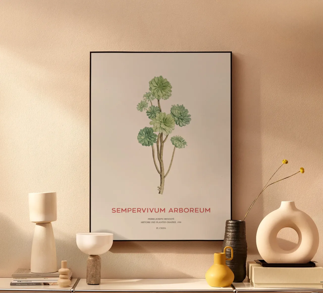 Rosa d'Irlanda o Sempervivum Arboreum plexiglass da Vintagrafica
