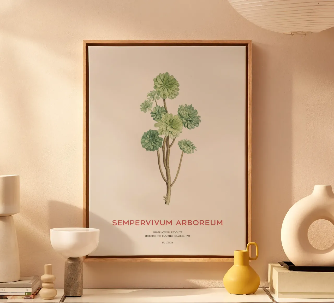 Irische Rose oder Sempervivum Arboreum Leinwand mit Schattenfugenrahmen von Vintagrafica