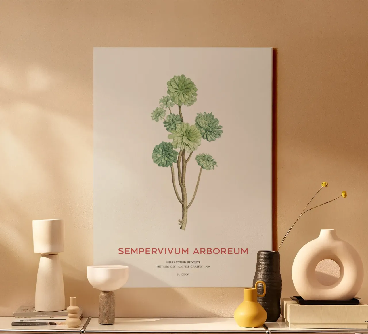 Irische Rose oder Sempervivum Arboreum Leinwand mit Schattenfugenrahmen von Vintagrafica