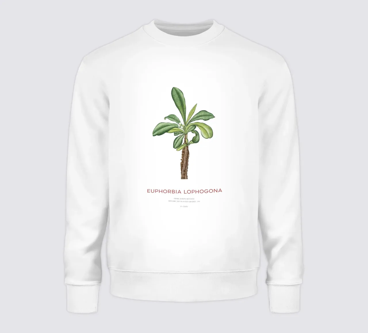 Randramboay o Euphorbia Lophogona sudadera de Vintagrafica
