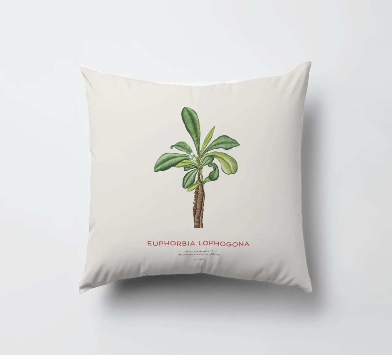 Randramboay o Euphorbia Lophogona cuscino da Vintagrafica