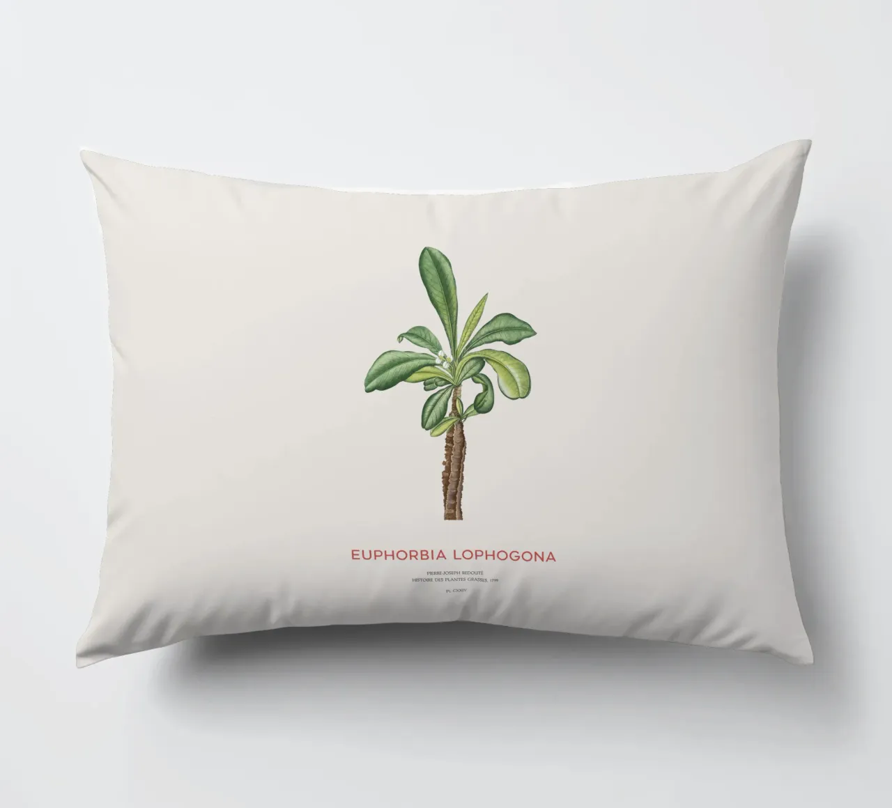 Randramboay o Euphorbia Lophogona cuscino da Vintagrafica