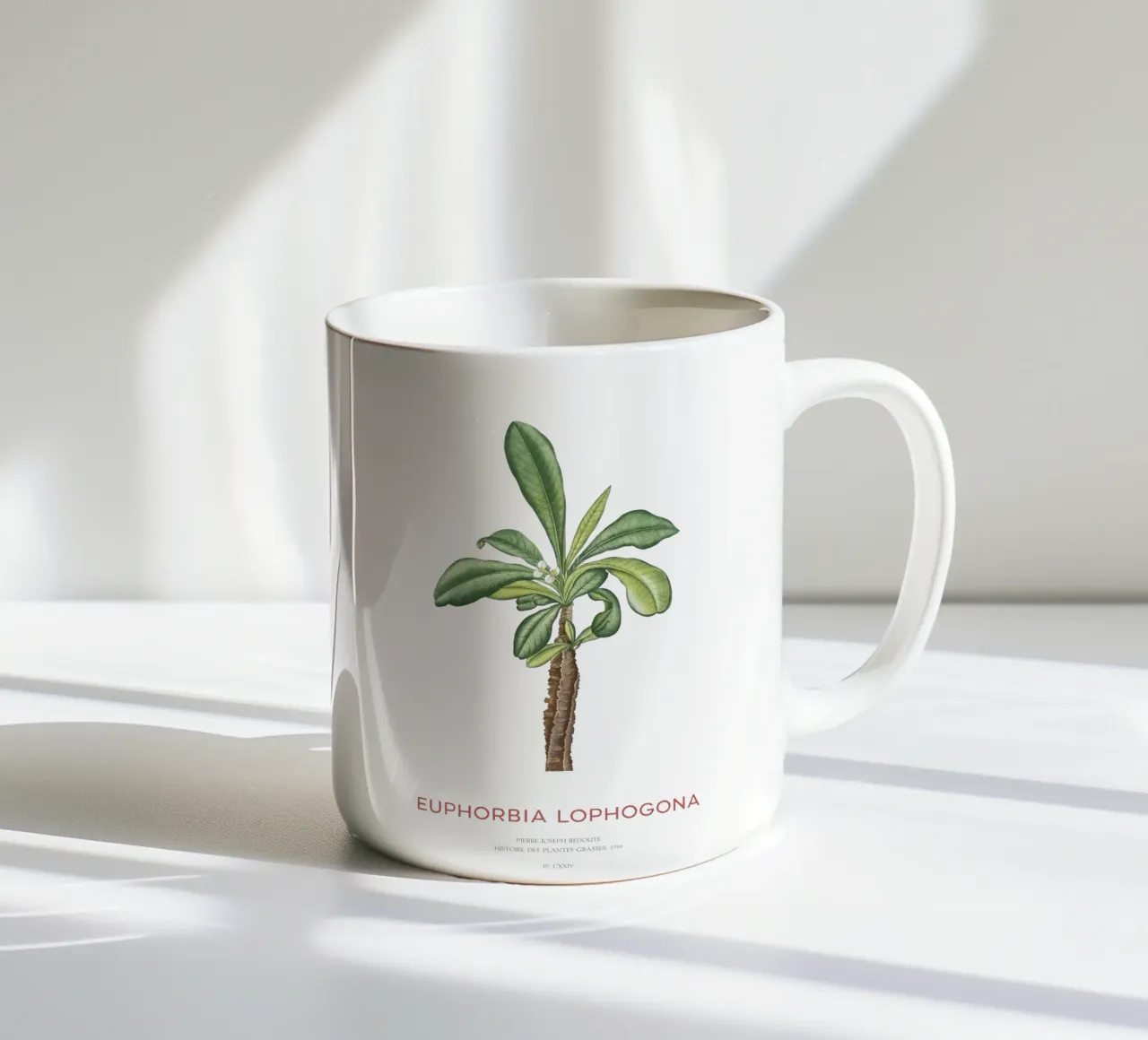 Randramboay o Euphorbia Lophogona tazza in ceramica da Vintagrafica