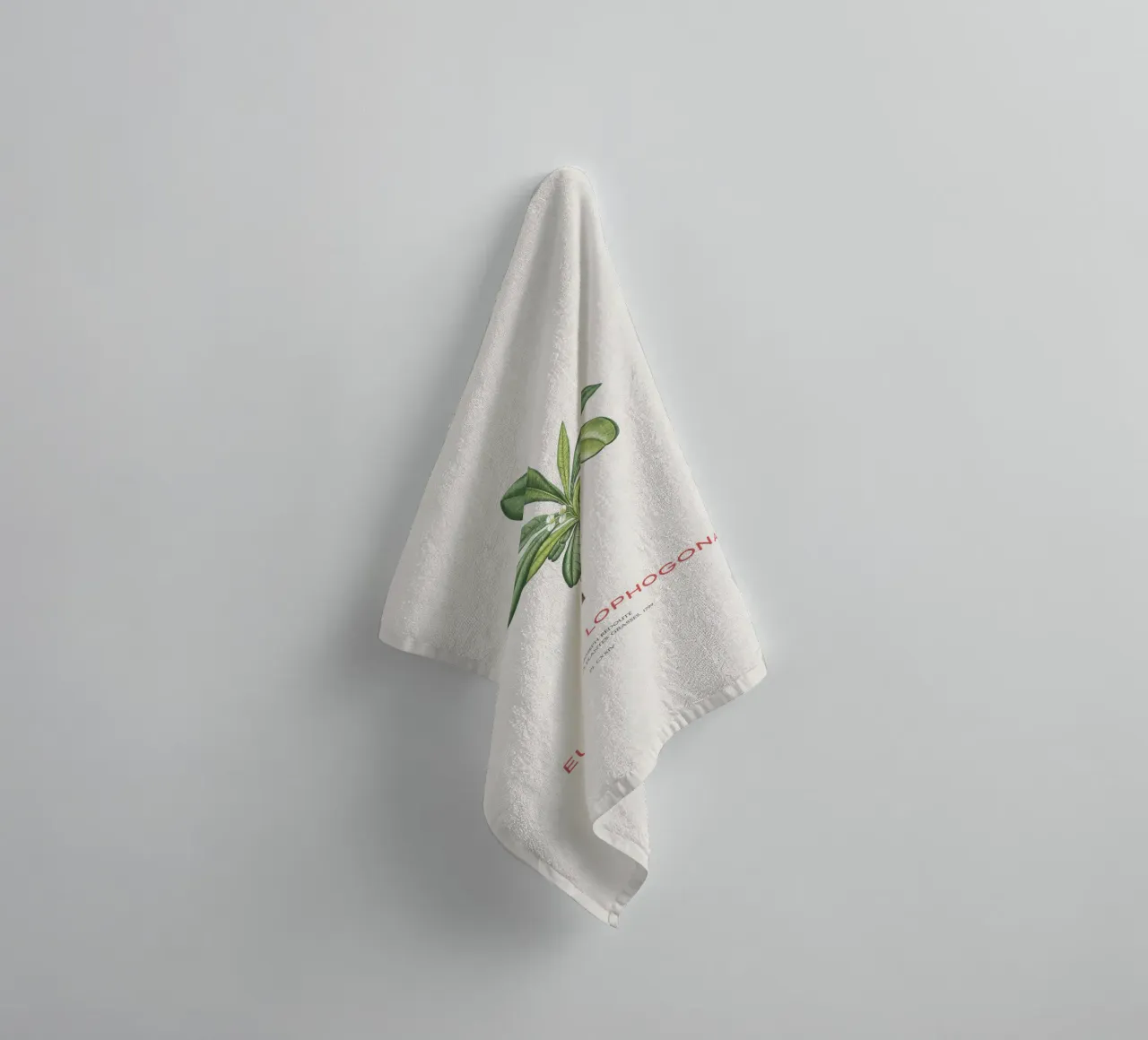 Randramboay oder Euphorbia Lophogona Handtuch von Vintagrafica