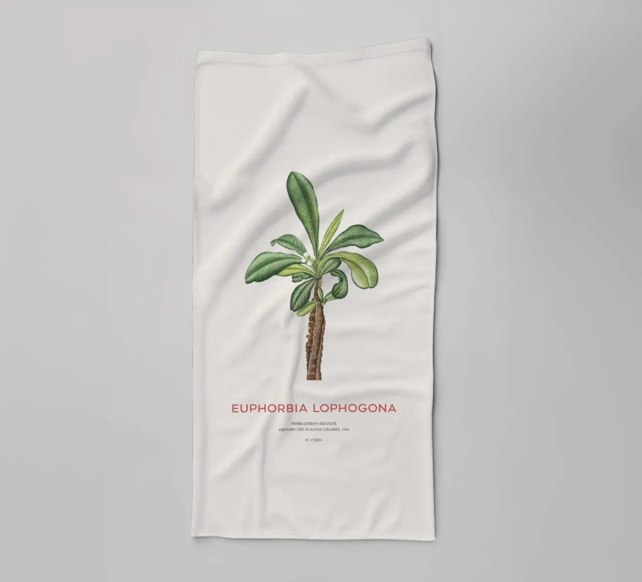 Randramboay oder Euphorbia Lophogona Handtuch von Vintagrafica