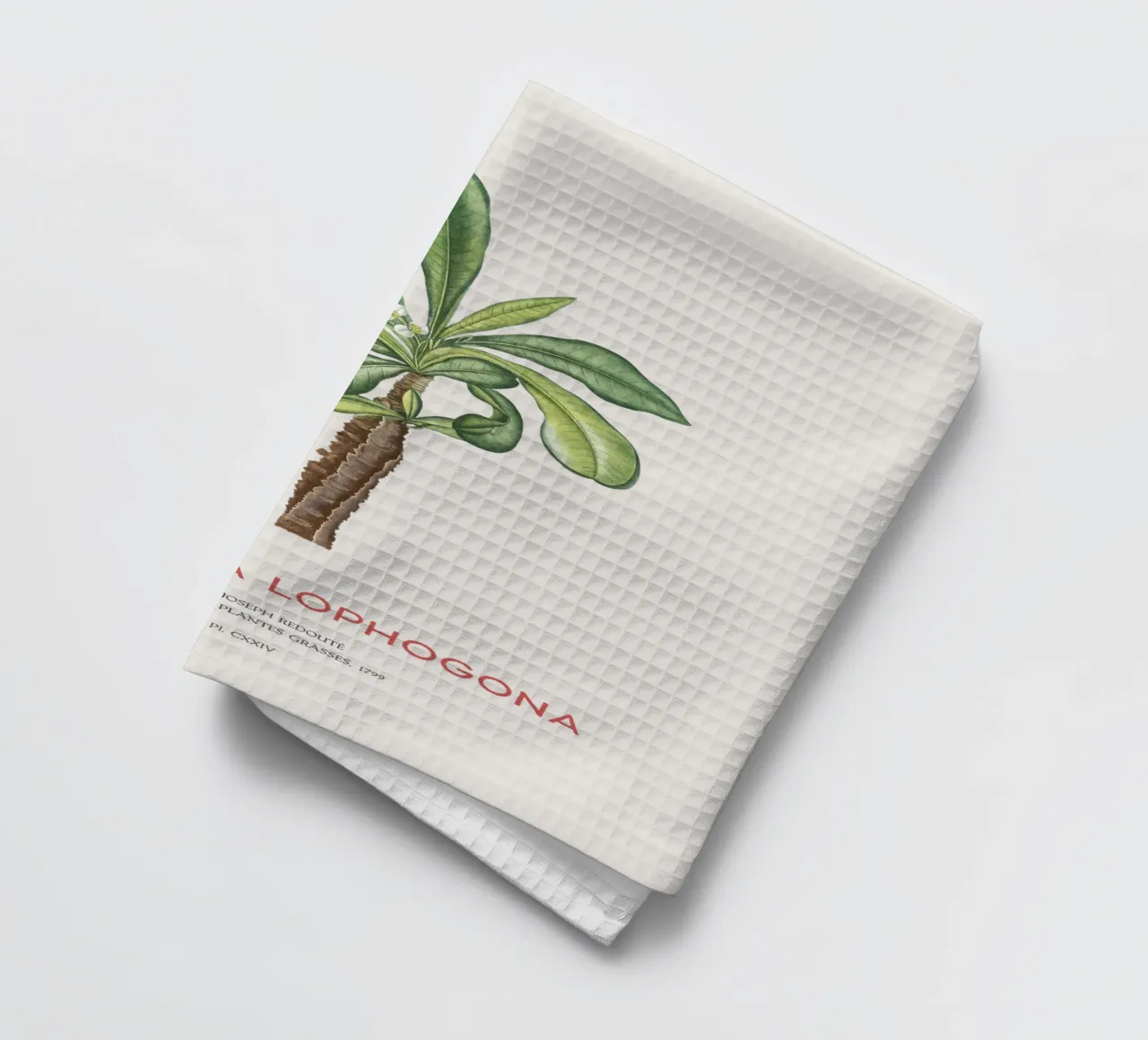 Randramboay oder Euphorbia Lophogona Geschirrtuch von Vintagrafica