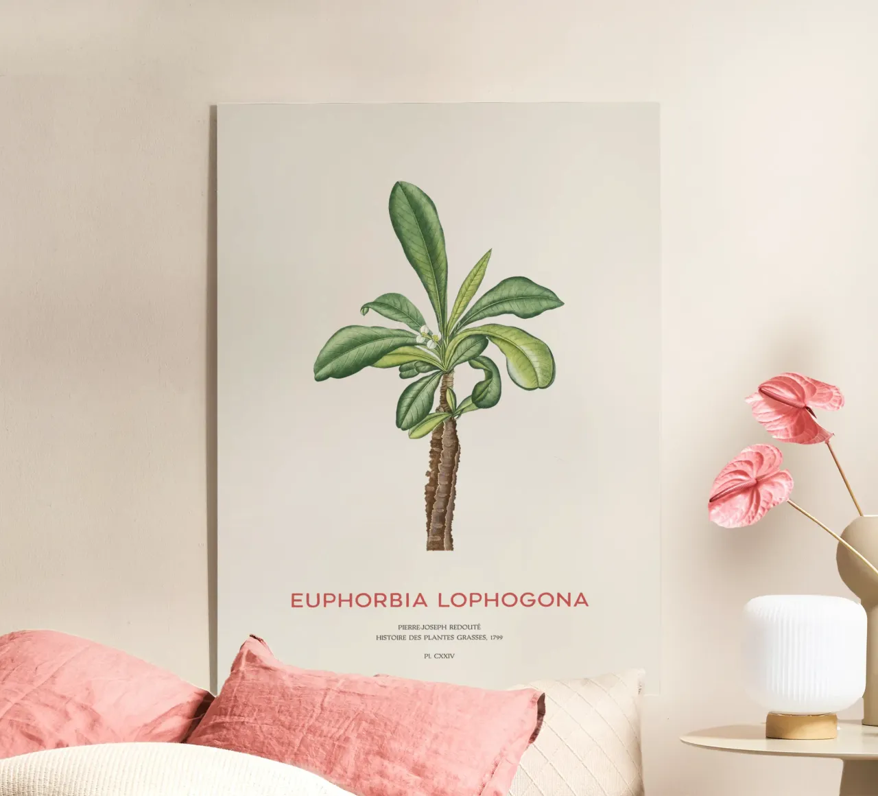 Randramboay o Euphorbia Lophogona plexiglass da Vintagrafica