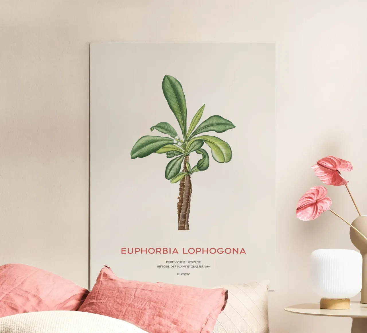 Randramboay oder Euphorbia Lophogona Hahnemühle von Vintagrafica