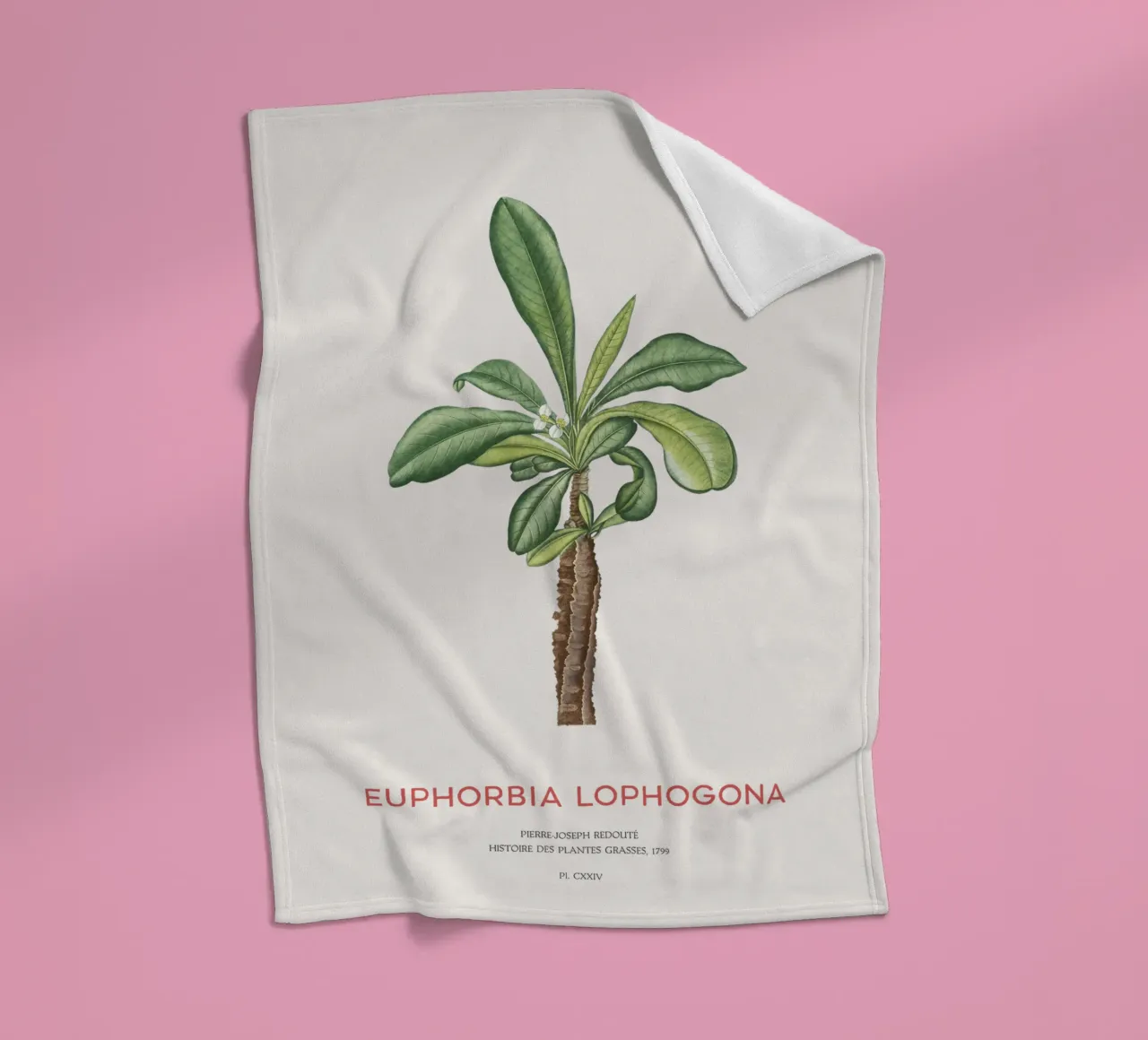 Randramboay oder Euphorbia Lophogona Fleecedecke von Vintagrafica