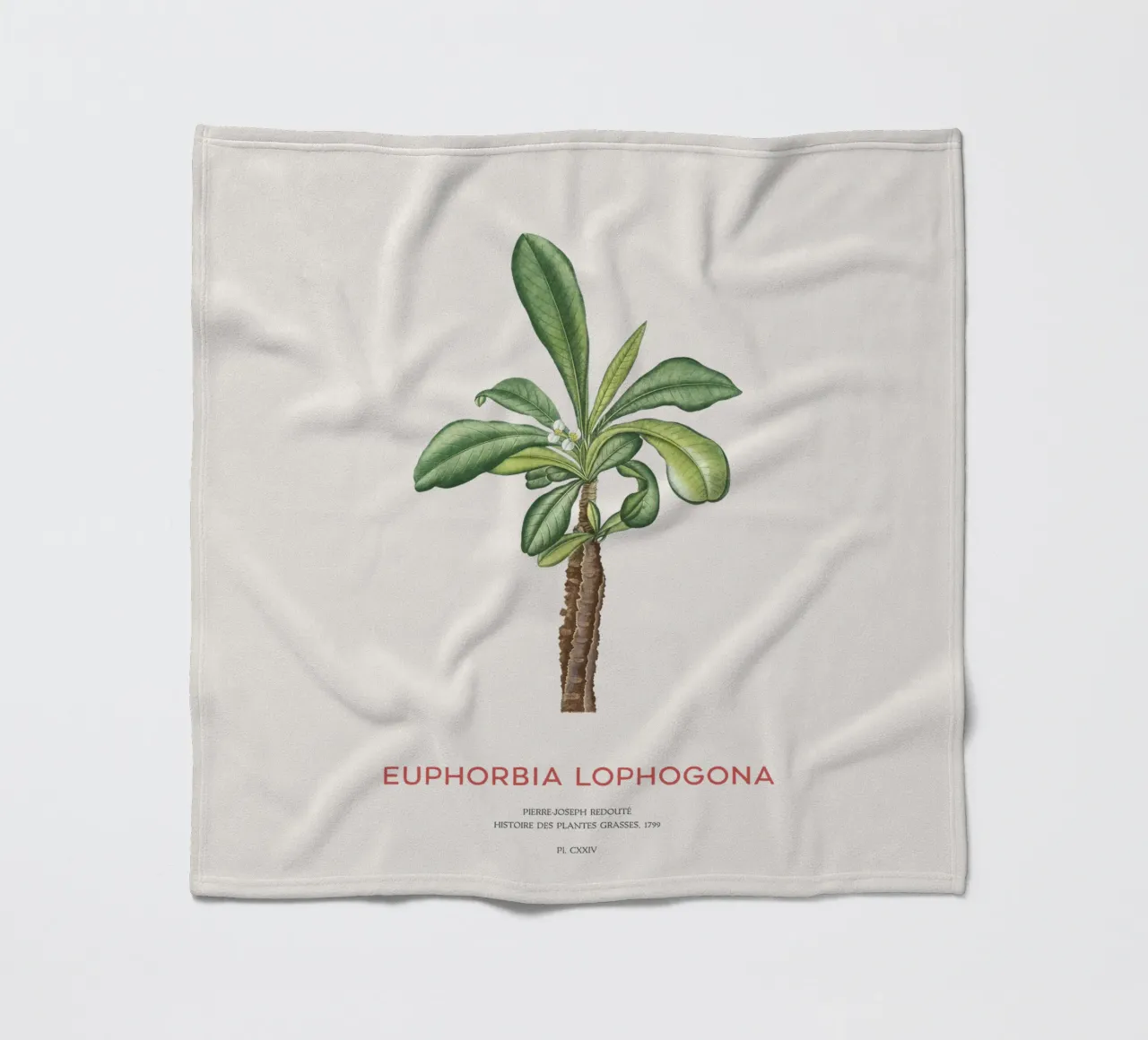 Randramboay oder Euphorbia Lophogona Fleecedecke von Vintagrafica