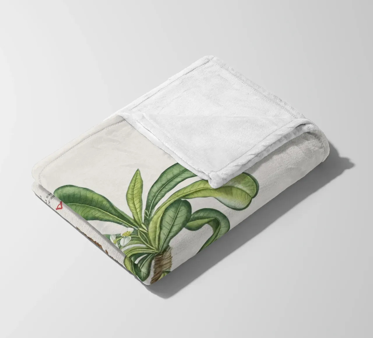 Randramboay oder Euphorbia Lophogona Fleecedecke von Vintagrafica