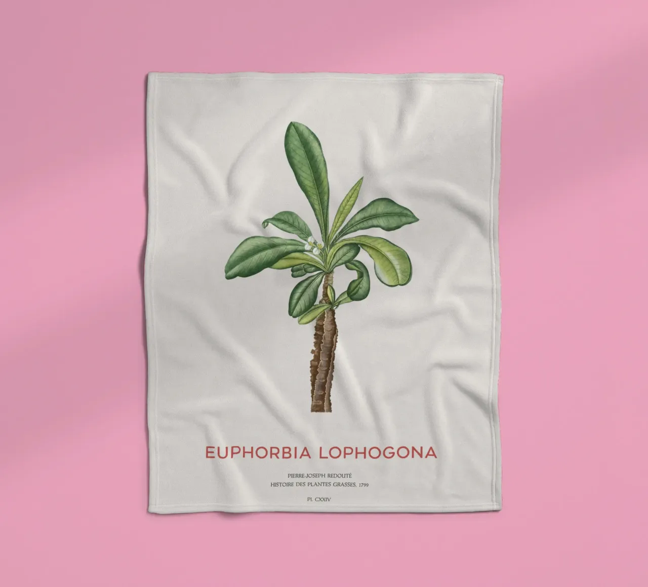 Randramboay oder Euphorbia Lophogona Fleecedecke von Vintagrafica