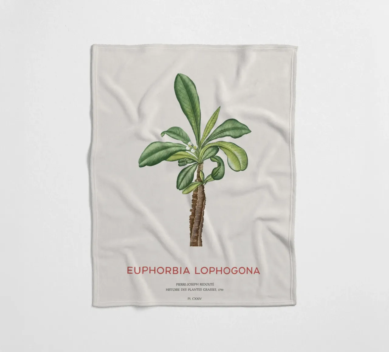 Randramboay oder Euphorbia Lophogona Fleecedecke von Vintagrafica