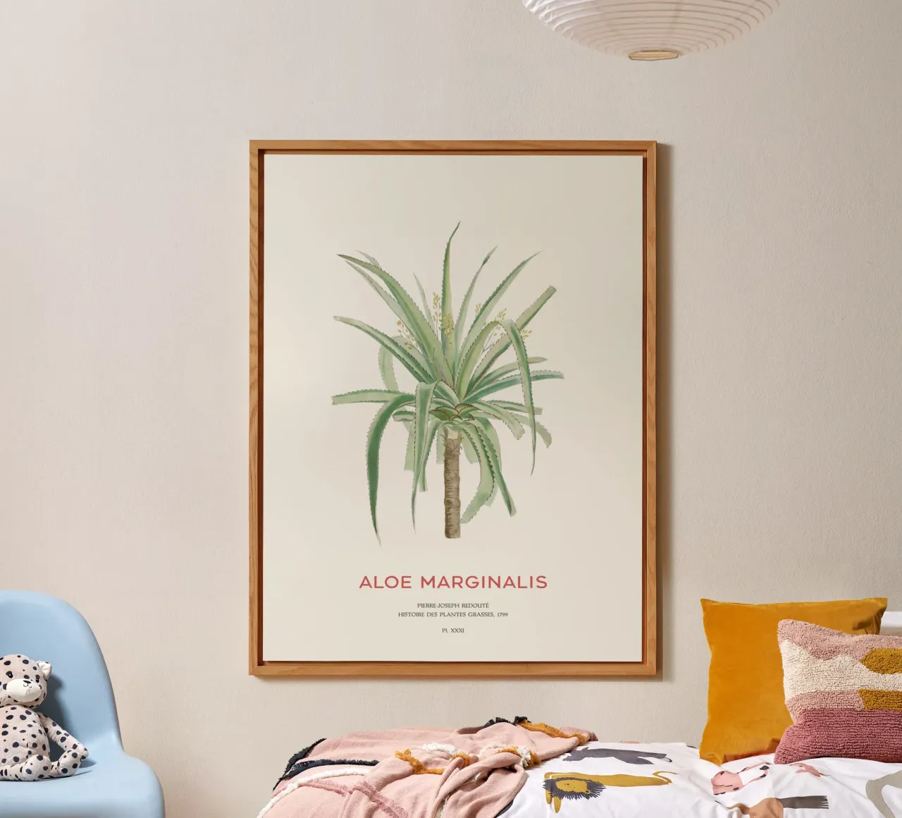 Pianta succulenta - Aloe Marginalis alluminio dibond da Vintagrafica