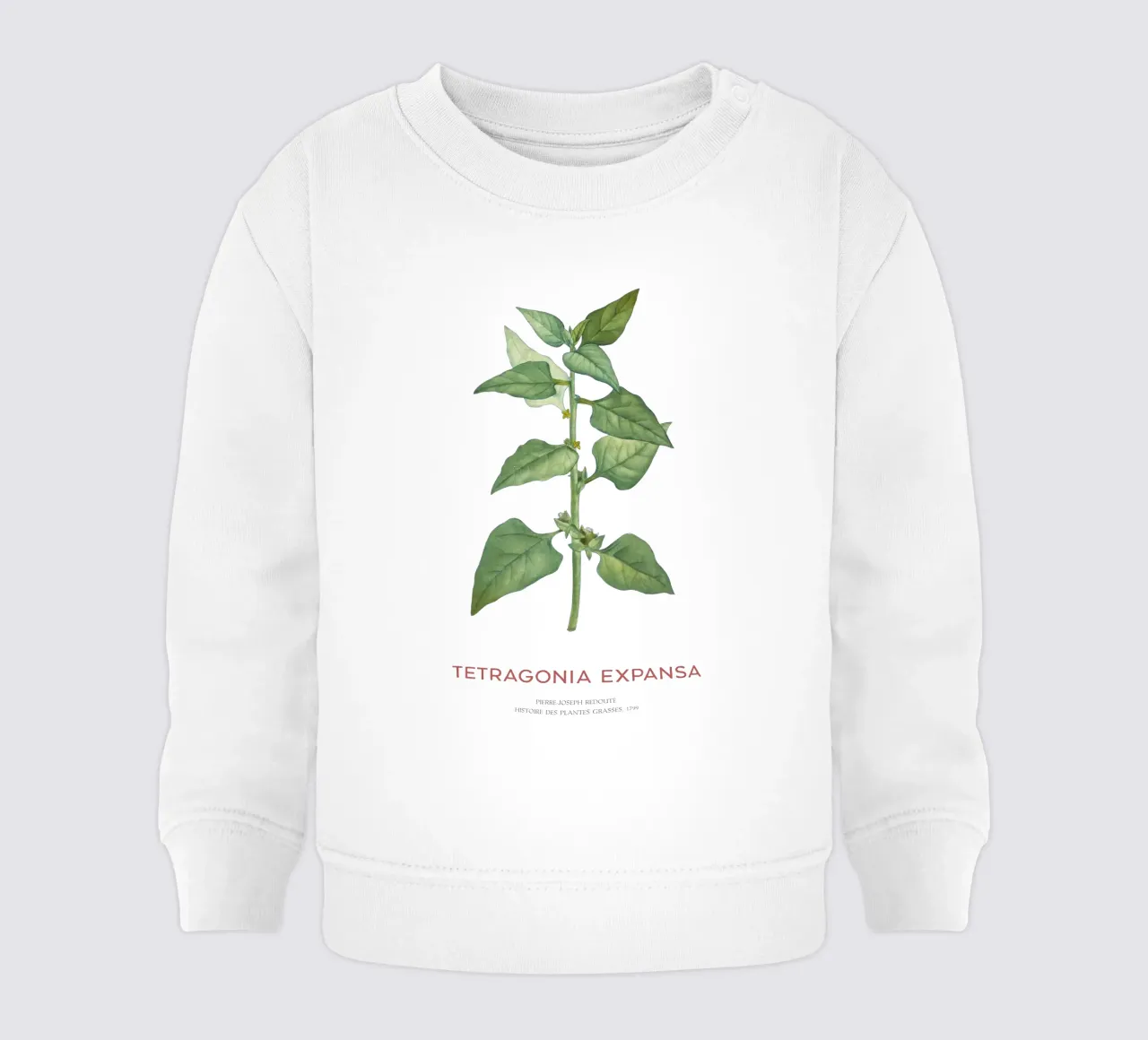 Epinards de Nouvelle-Zélande ou Tetragonia Expansa sweat pour bébé de Vintagrafica