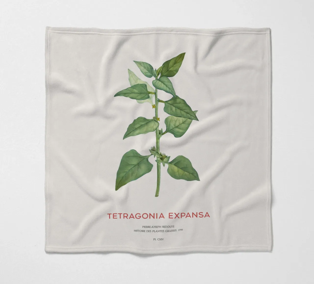 Neuseeländischer Spinat oder Tetragonia Expansa Fleecedecke von Vintagrafica