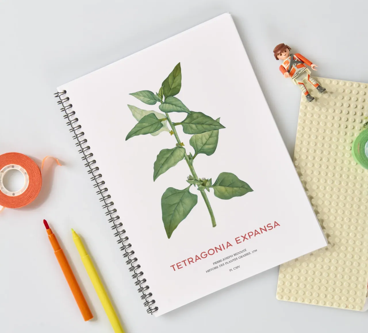 Epinards de Nouvelle-Zélande ou Tetragonia Expansa carnet à spirale de Vintagrafica