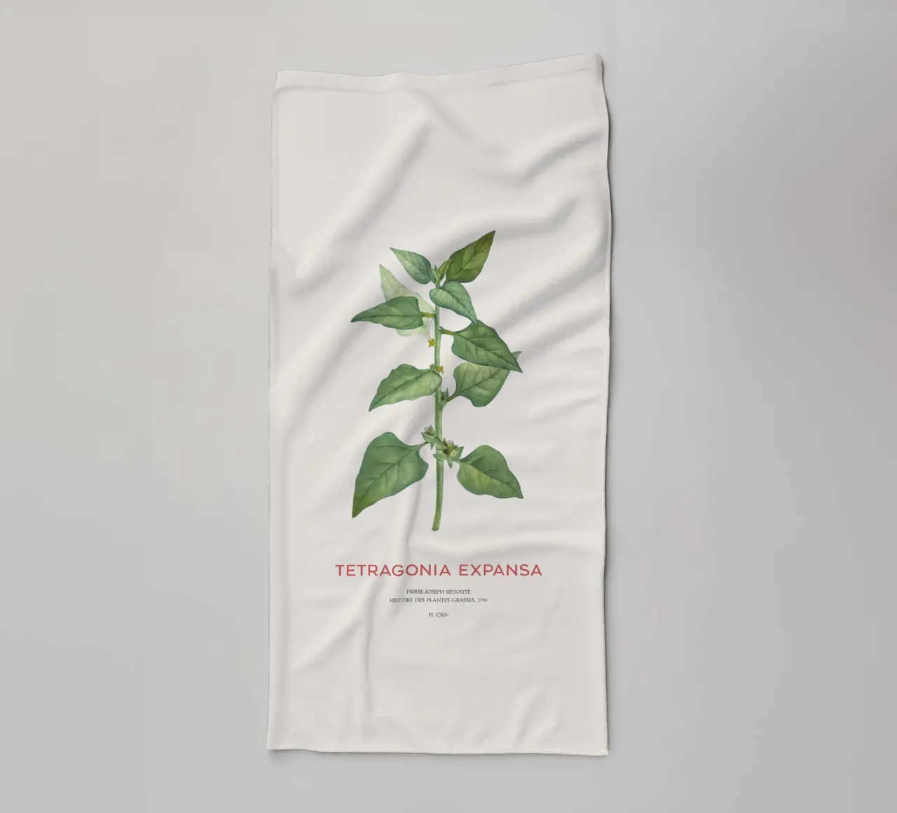 Neuseeländischer Spinat oder Tetragonia Expansa Handtuch von Vintagrafica