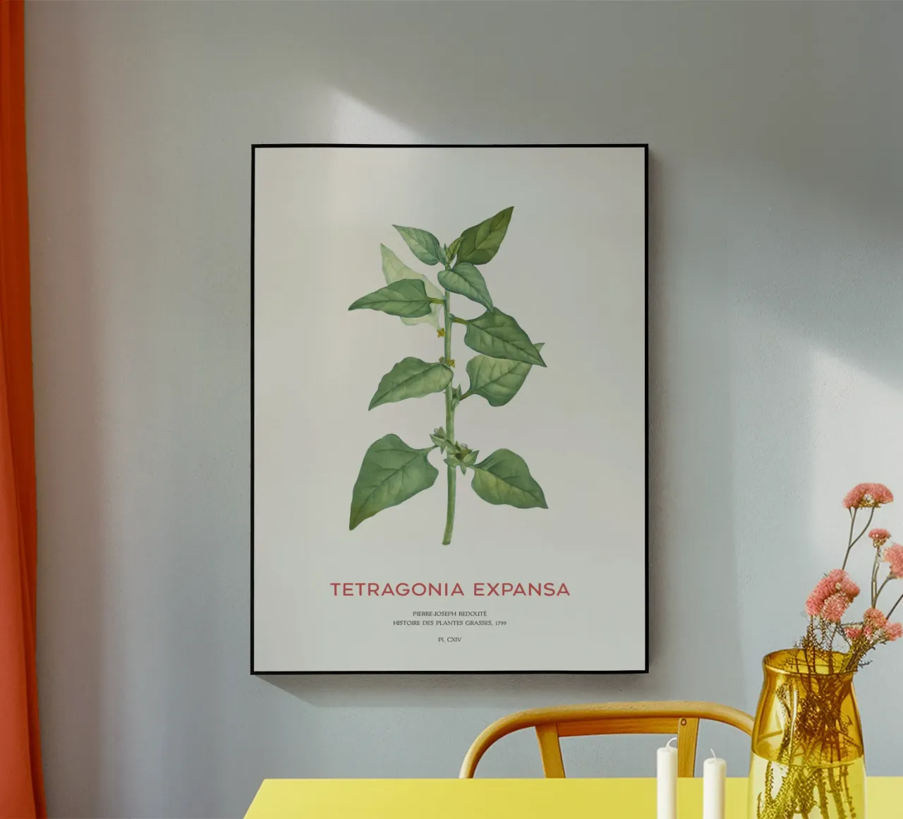 Espinacas de Nueva Zelanda o Tetragonia Expansa metacrilato de Vintagrafica