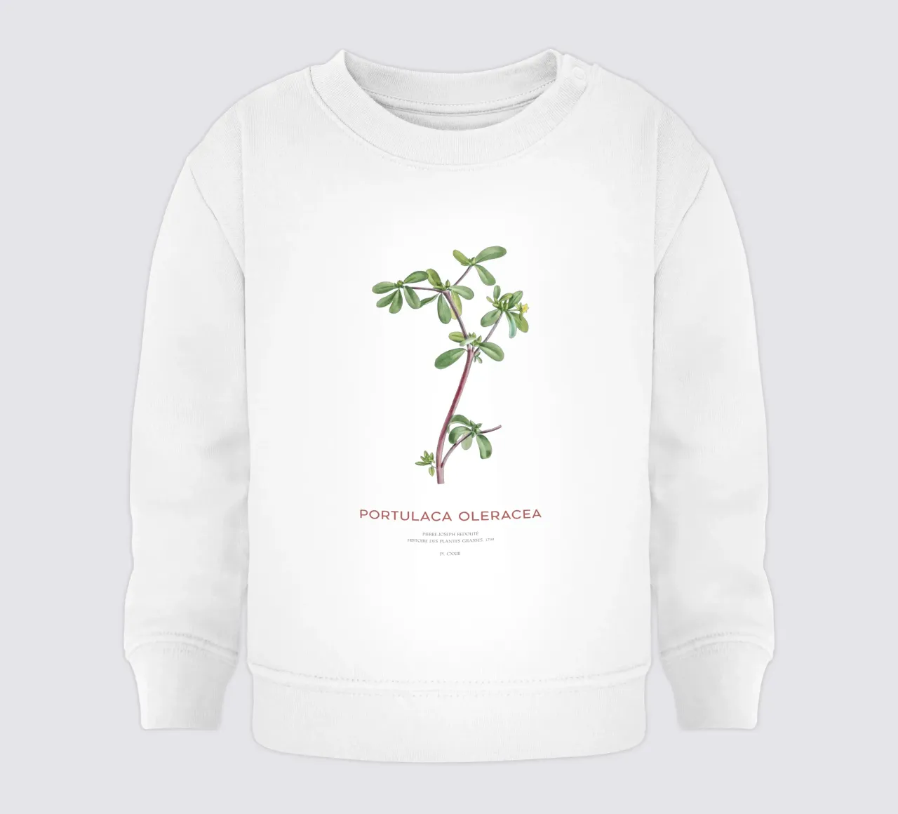 Pursley or Portulaca Oleracea baby sweatshirt by Vintagrafica