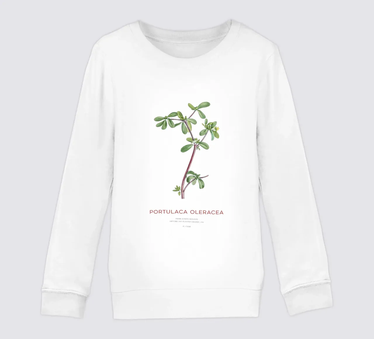 Pursley or Portulaca Oleracea kids sweatshirt by Vintagrafica