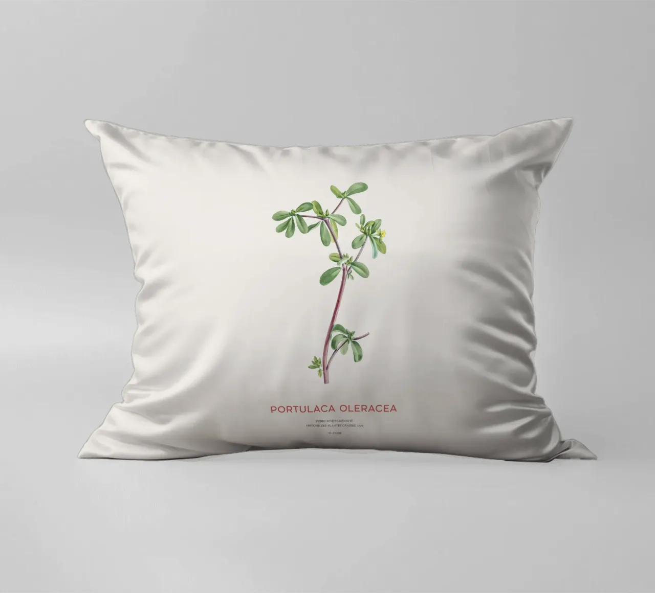 Pursley or Portulaca Oleracea decorative cushion by Vintagrafica