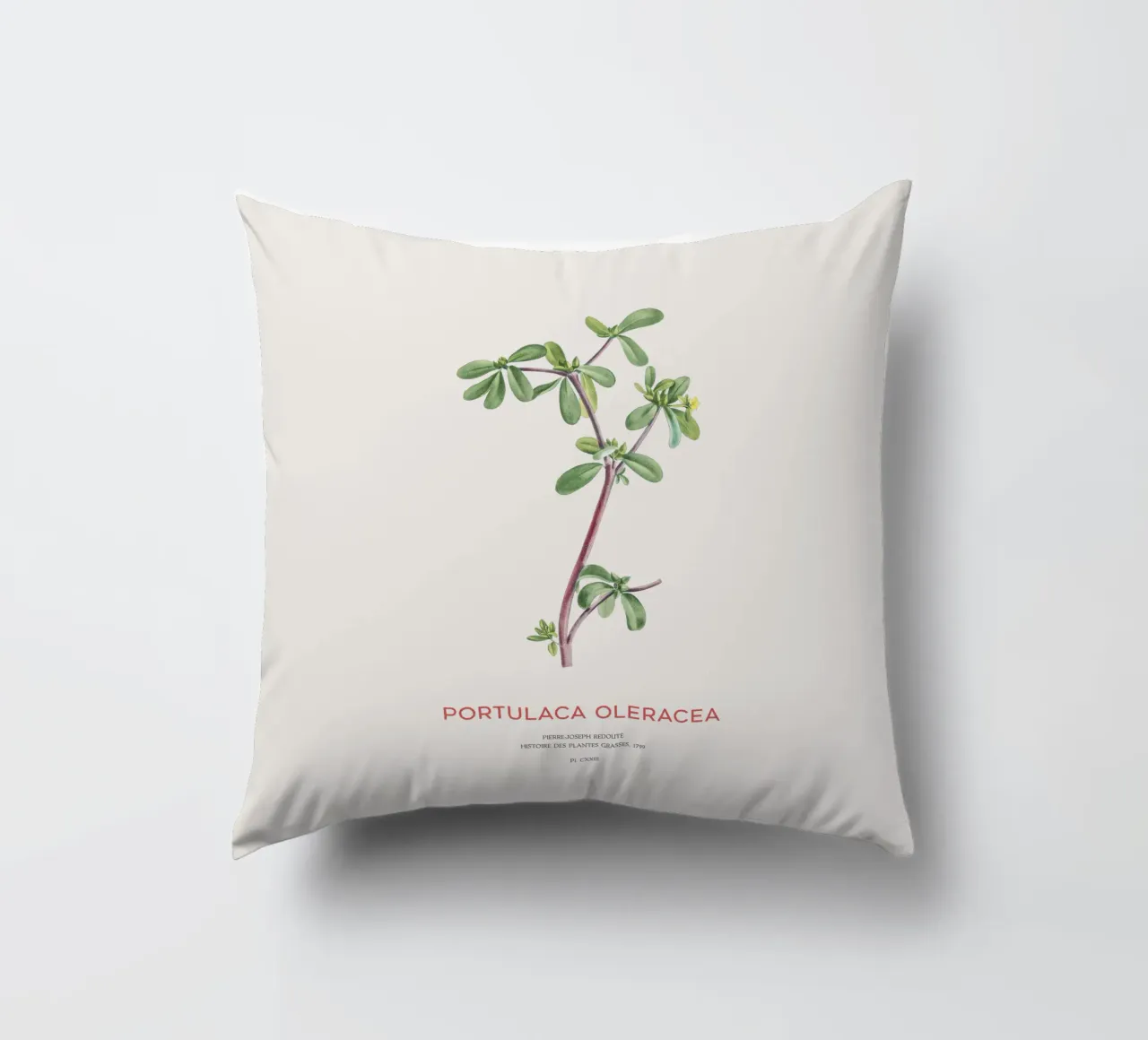 Pursley or Portulaca Oleracea decorative cushion by Vintagrafica