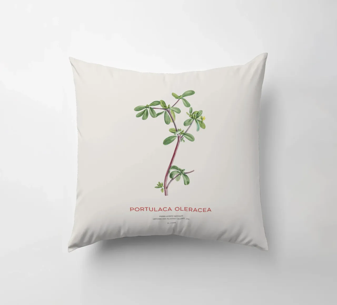 Pursley or Portulaca Oleracea decorative cushion by Vintagrafica