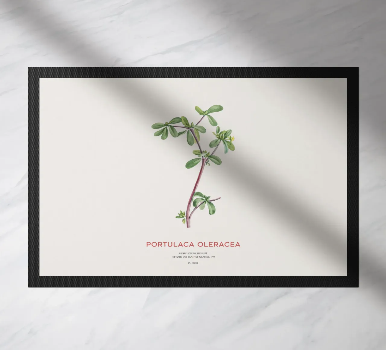 Pursley or Portulaca Oleracea doormat by Vintagrafica