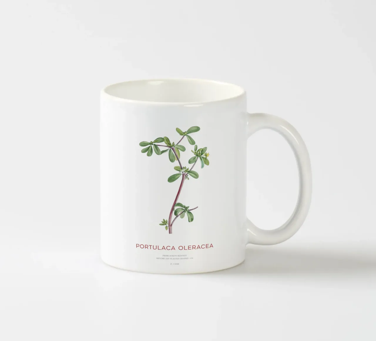 Pursley o Portulaca Oleracea tazza in ceramica da Vintagrafica