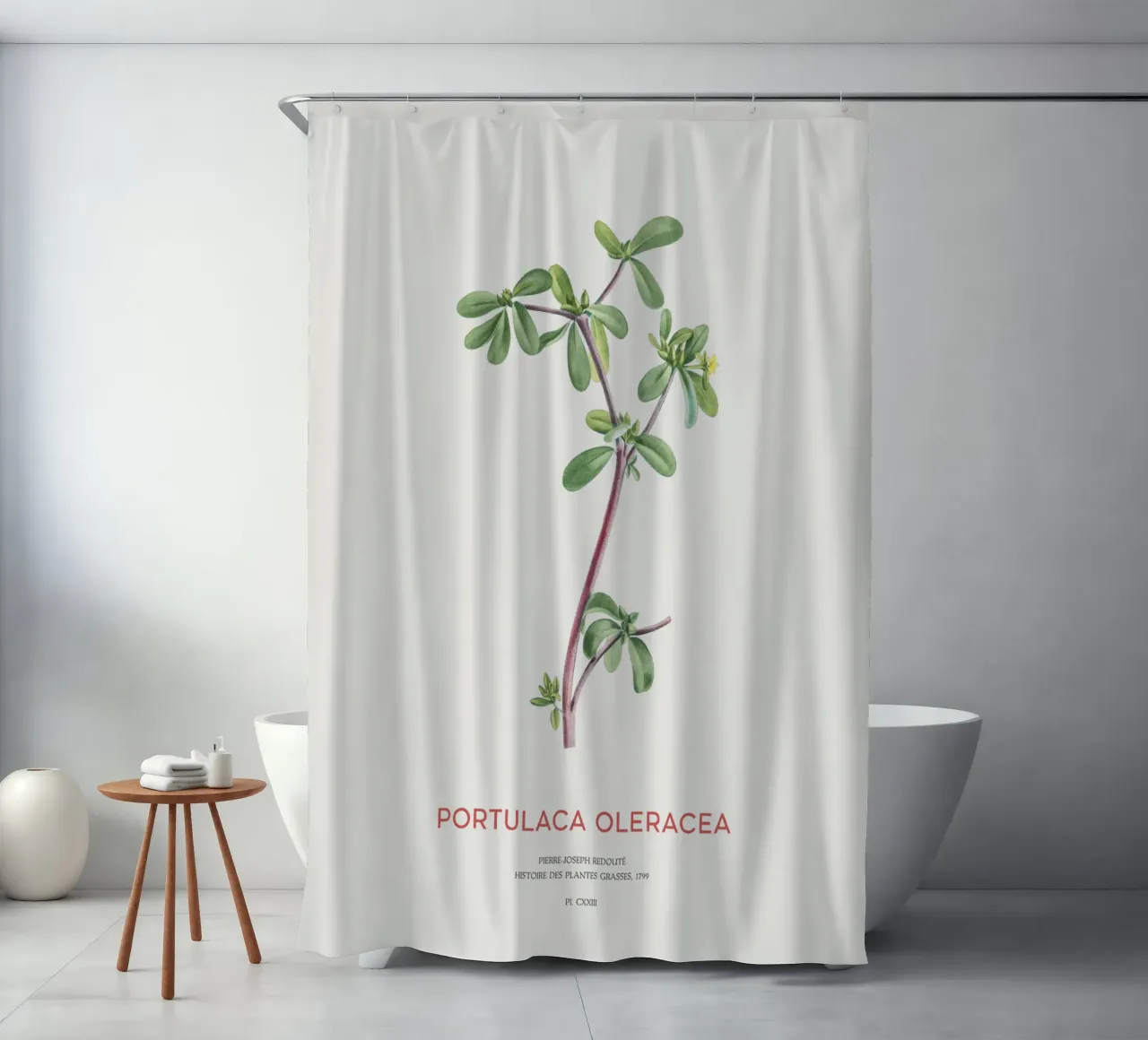Pursley or Portulaca Oleracea shower curtain by Vintagrafica