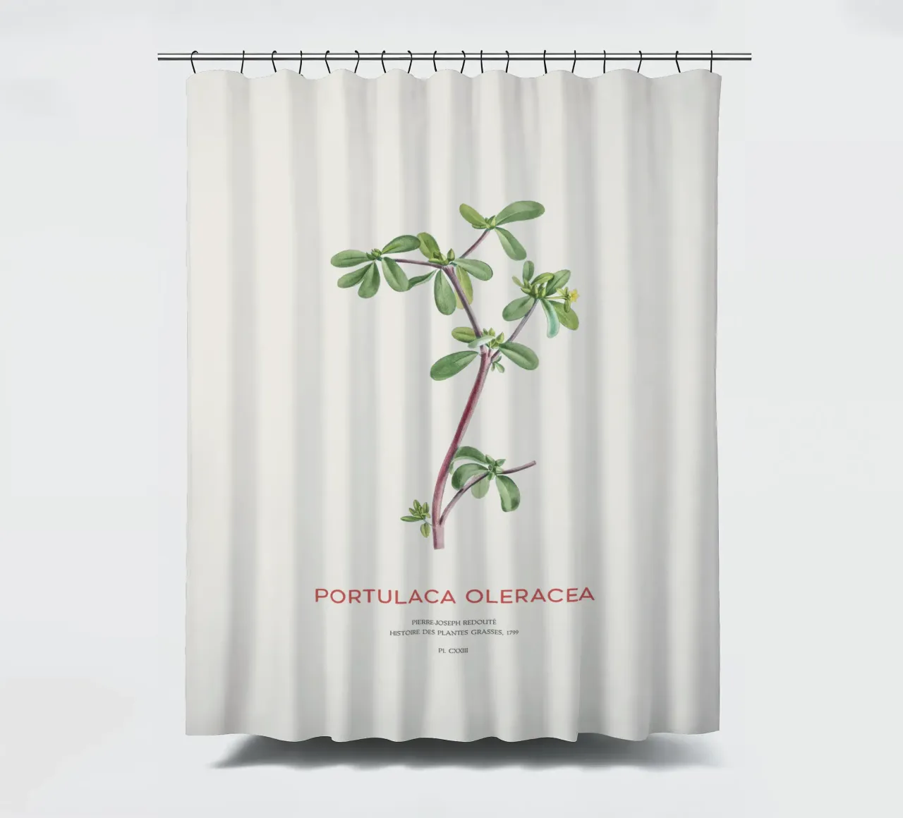 Pursley or Portulaca Oleracea shower curtain by Vintagrafica