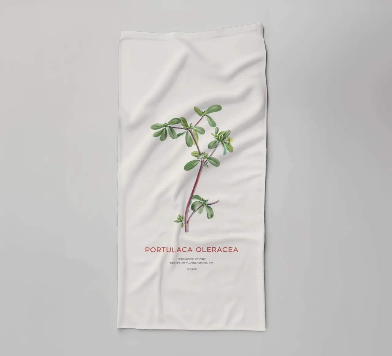 Pursley or Portulaca Oleracea towel by Vintagrafica