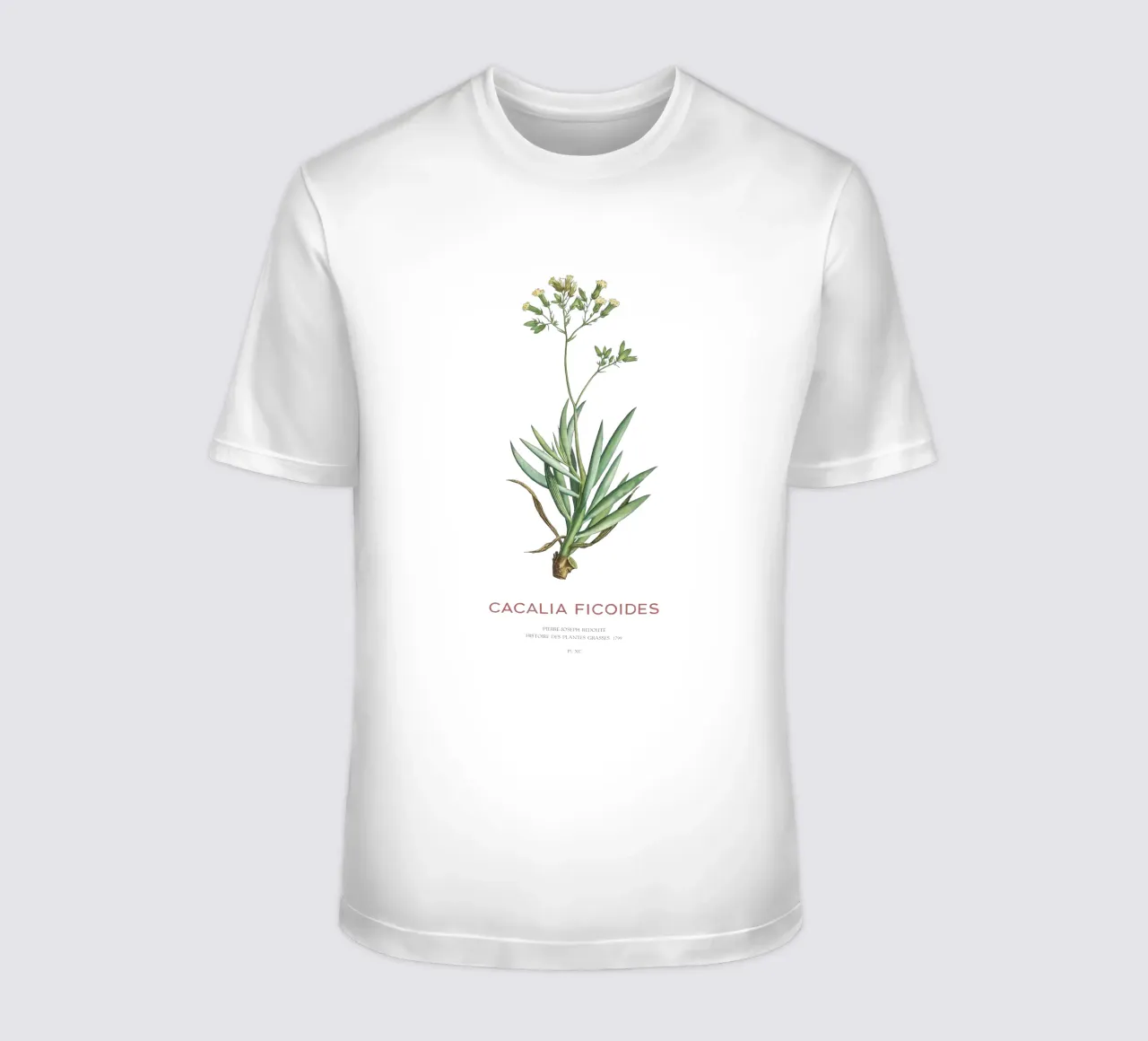 Monte Everest Senecio o Cacalia ficoides t-shirt da Vintagrafica