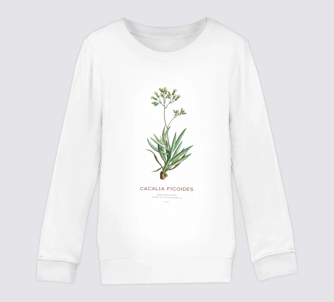Mount Everest Senecio or Cacalia ficoides kids sweatshirt by Vintagrafica