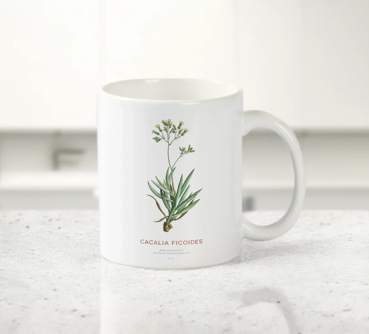 Monte Everest Senecio o Cacalia ficoides tazza in ceramica da Vintagrafica