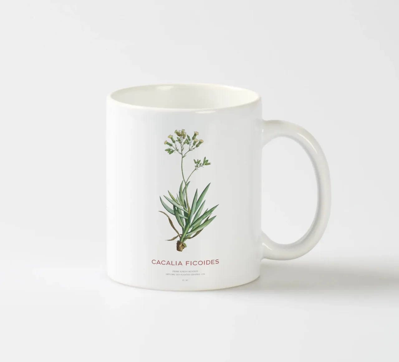 Monte Everest Senecio o Cacalia ficoides tazza in ceramica da Vintagrafica