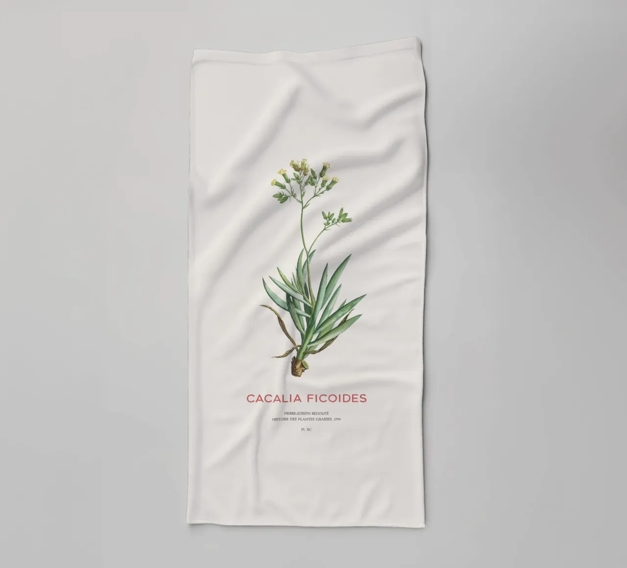 Monte Everest Senecio o Cacalia ficoides asciugamano da bagno da Vintagrafica