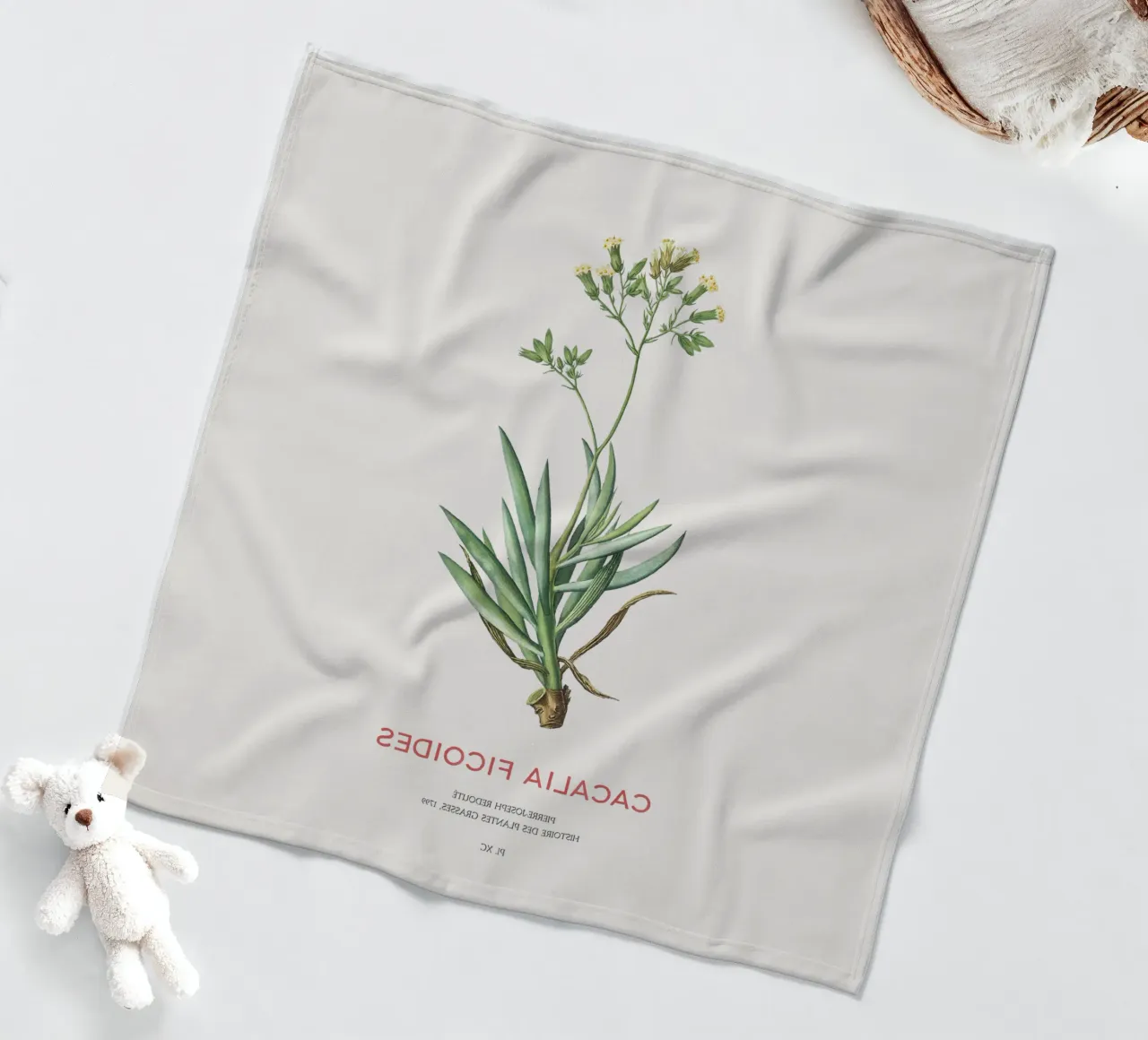 Monte Everest Senecio o Cacalia ficoides coperta in pile da Vintagrafica