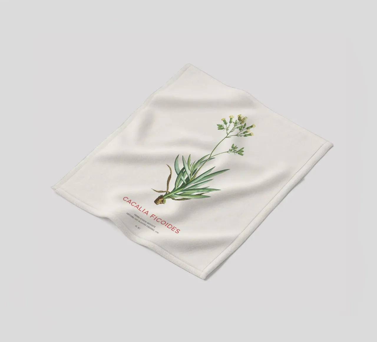 Monte Everest Senecio o Cacalia ficoides coperta in pile da Vintagrafica