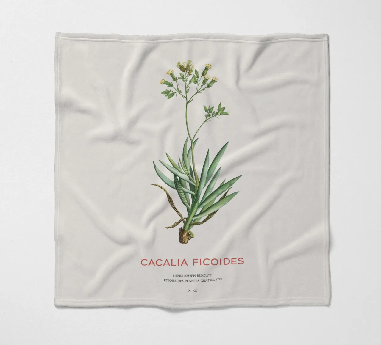 Monte Everest Senecio o Cacalia ficoides coperta in pile da Vintagrafica