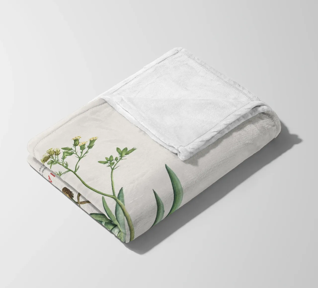 Monte Everest Senecio o Cacalia ficoides coperta in pile da Vintagrafica