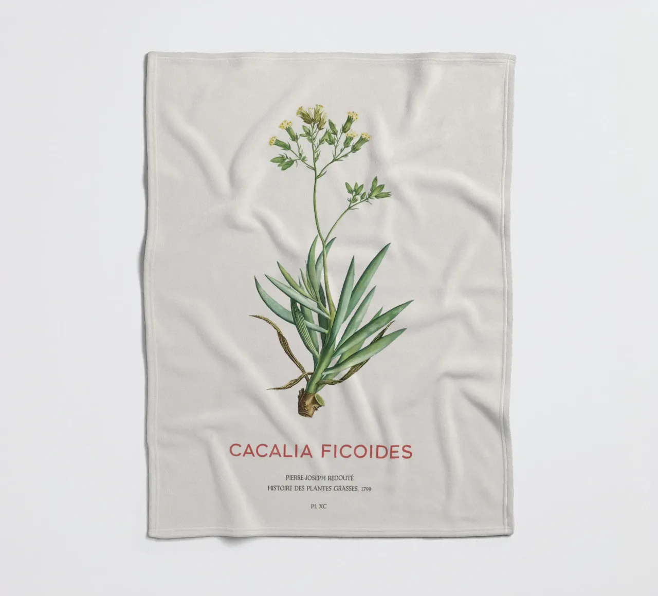 Monte Everest Senecio o Cacalia ficoides coperta in pile da Vintagrafica
