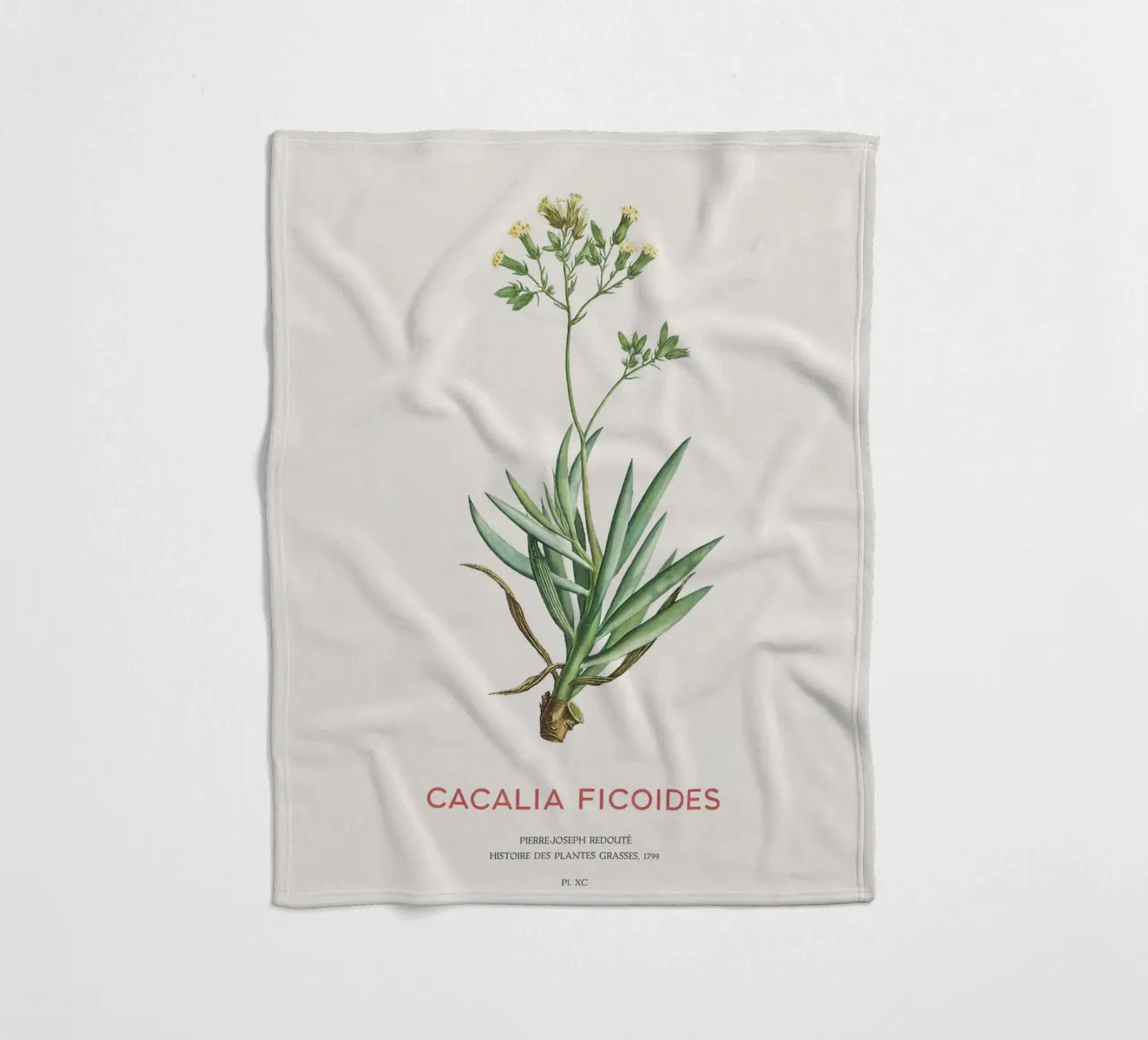 Monte Everest Senecio o Cacalia ficoides coperta in pile da Vintagrafica