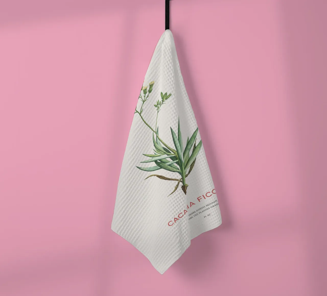 Monte Everest Senecio o Cacalia ficoides canovaccio da cucina da Vintagrafica