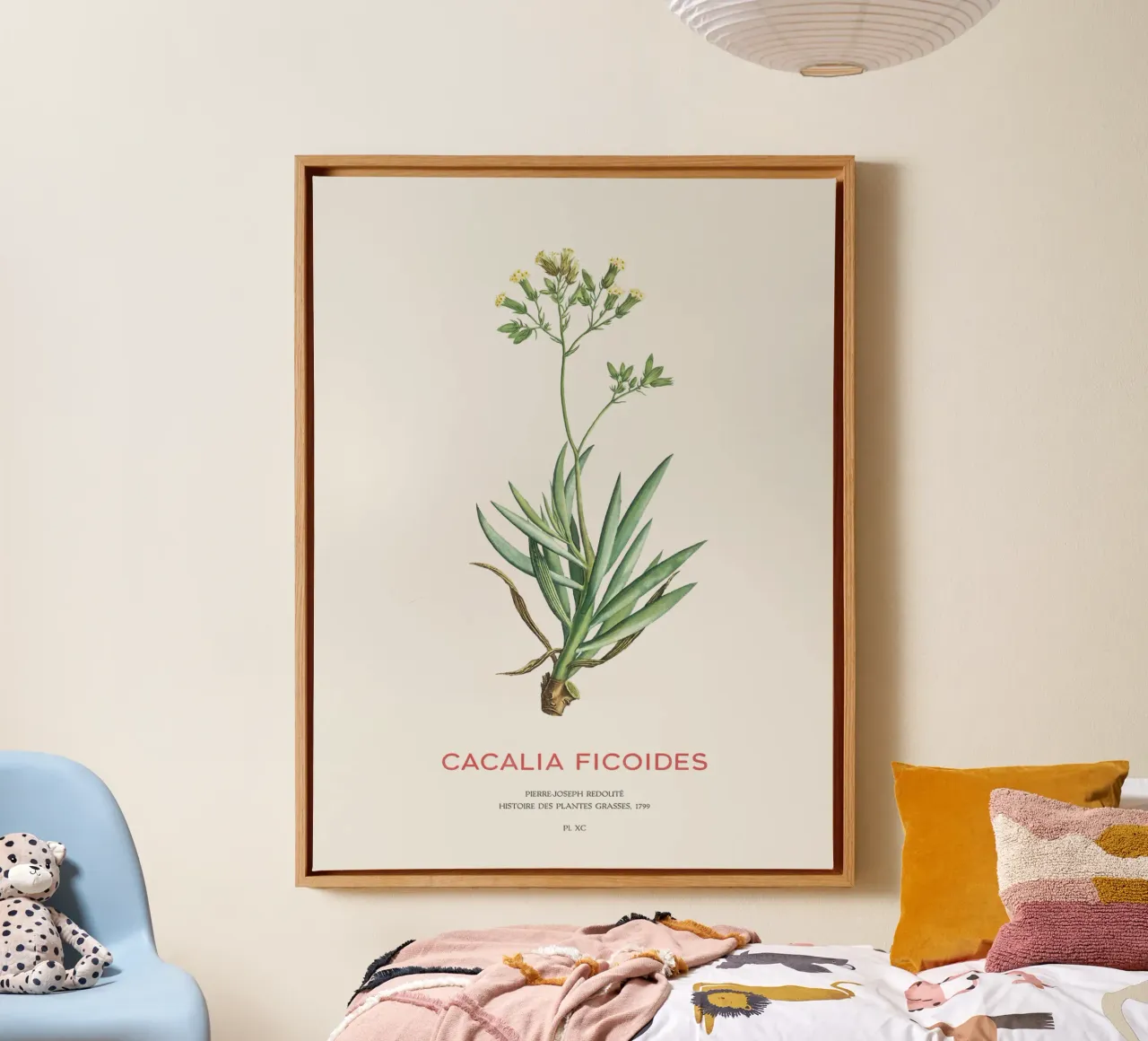 Mount Everest Senecio or Cacalia ficoides canvas by Vintagrafica