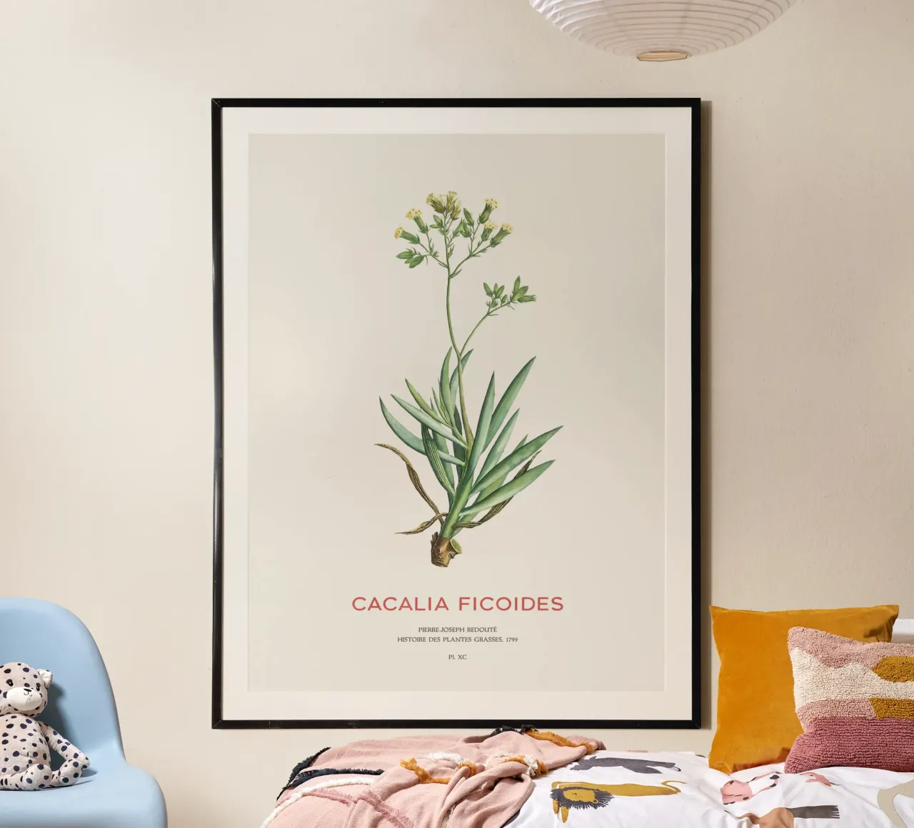 Mount Everest Senecio oder Cacalia ficoides Hahnemühle von Vintagrafica