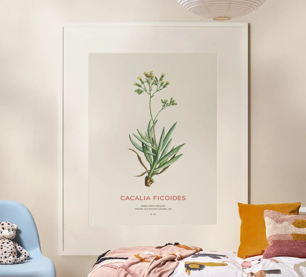 Mount Everest Senecio oder Cacalia ficoides Hahnemühle von Vintagrafica