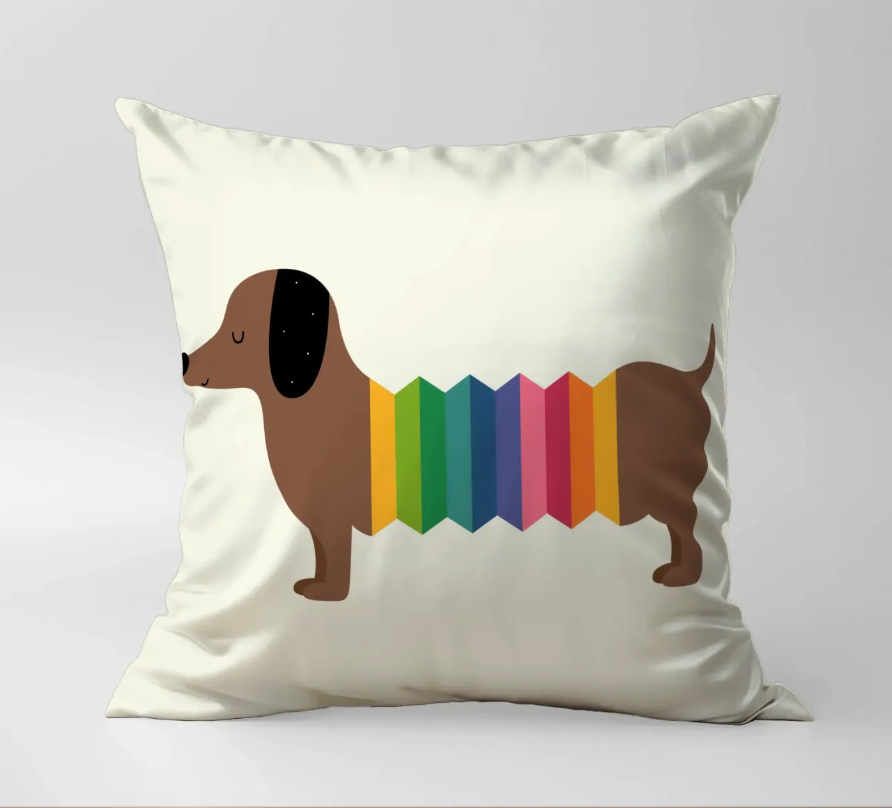 Arcobaleno Dooooog cuscino da Andy Westface